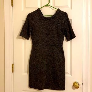 Ann Taylor Winter Dress